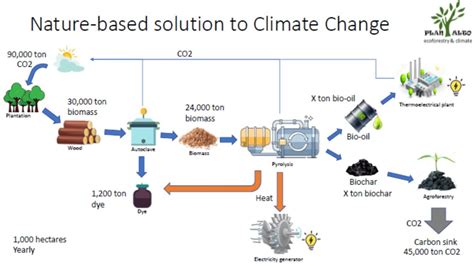 Latest Advances in Solar Panel Installation: Boosting Efficiency and Sustainability in Renewable Energy