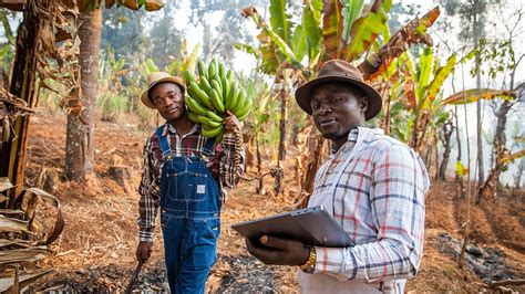 UNDP's SDG Strategies: Innovative Approaches to Combat Climate Change and Promote Sustainable Development