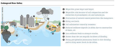 Achieving Climate Action: How Strategic Development Goals Tackle Global Warming and Promote Sustainability