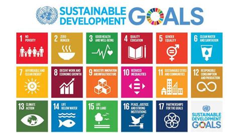 Understanding UN SDGs: Key Goals for Combating Climate Change and Ensuring a Sustainable Future