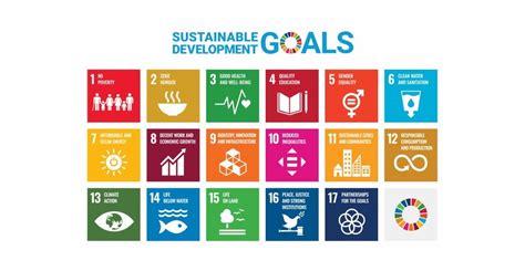 Understanding UN SDGs: Key Goals for Combating Climate Change and Ensuring a Sustainable Future